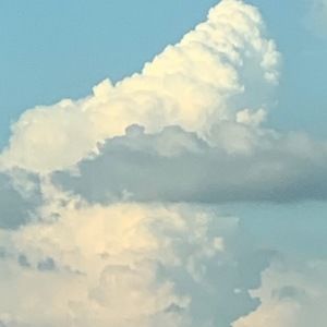 Meet your Posher, Aiden